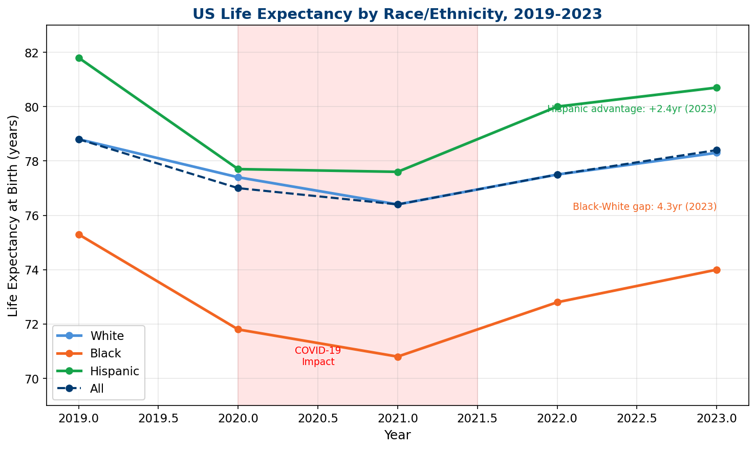 Life Expectancy by Race